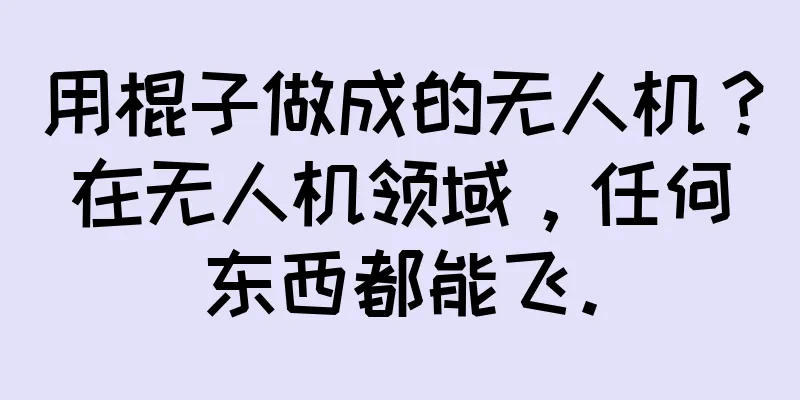 用棍子做成的无人机？在无人机领域，任何东西都能飞。
