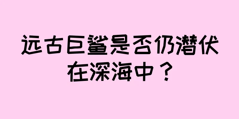 远古巨鲨是否仍潜伏在深海中？
