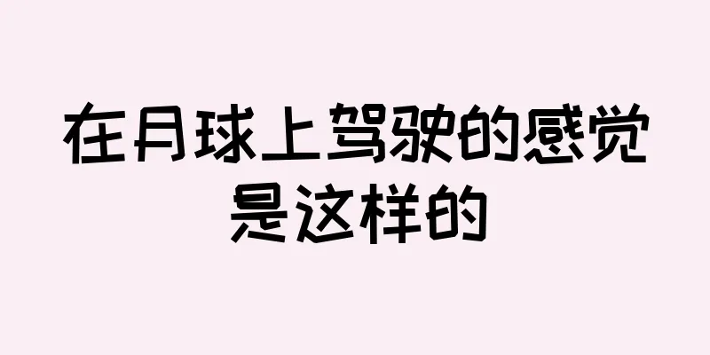 在月球上驾驶的感觉是这样的