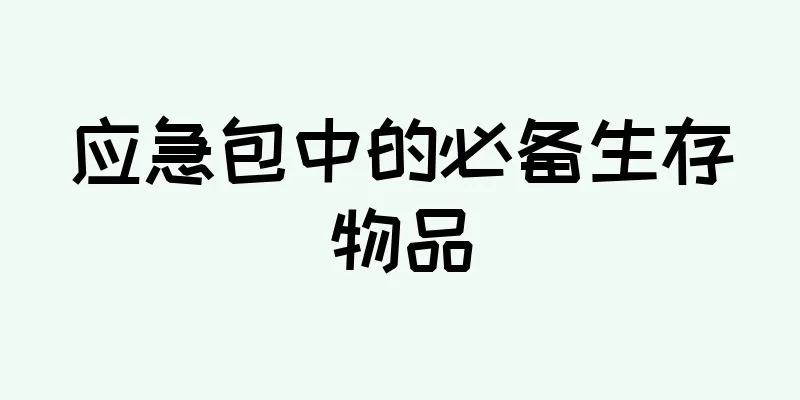 应急包中的必备生存物品