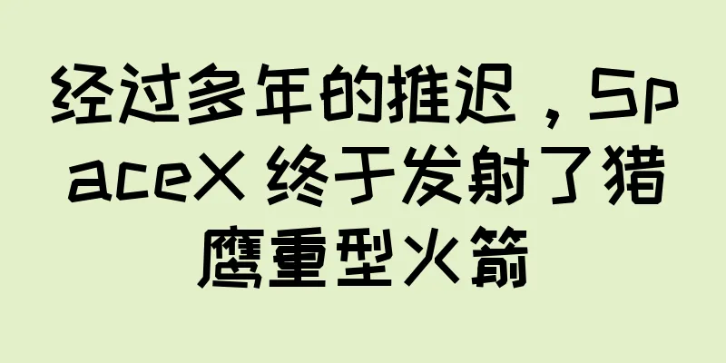 经过多年的推迟，SpaceX 终于发射了猎鹰重型火箭