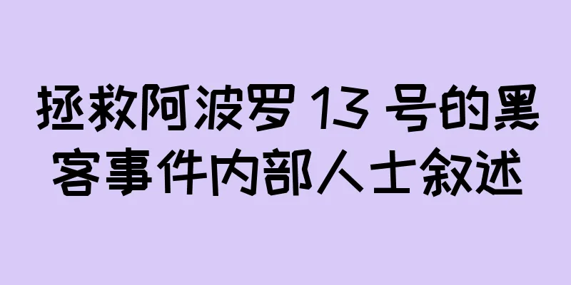拯救阿波罗 13 号的黑客事件内部人士叙述