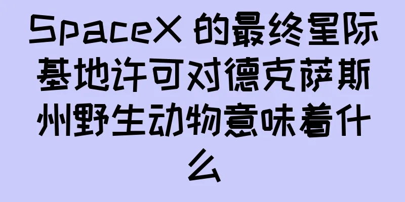 SpaceX 的最终星际基地许可对德克萨斯州野生动物意味着什么