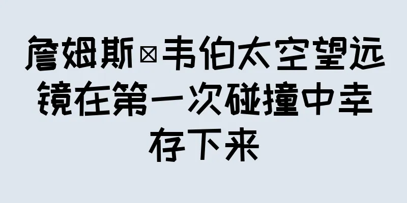 詹姆斯·韦伯太空望远镜在第一次碰撞中幸存下来