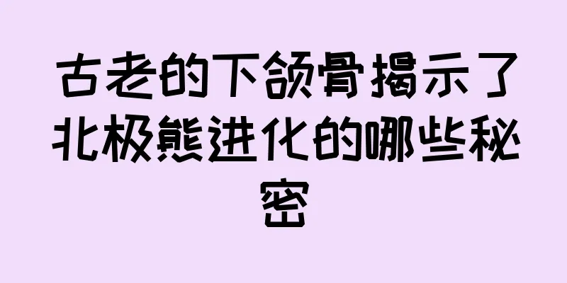 古老的下颌骨揭示了北极熊进化的哪些秘密