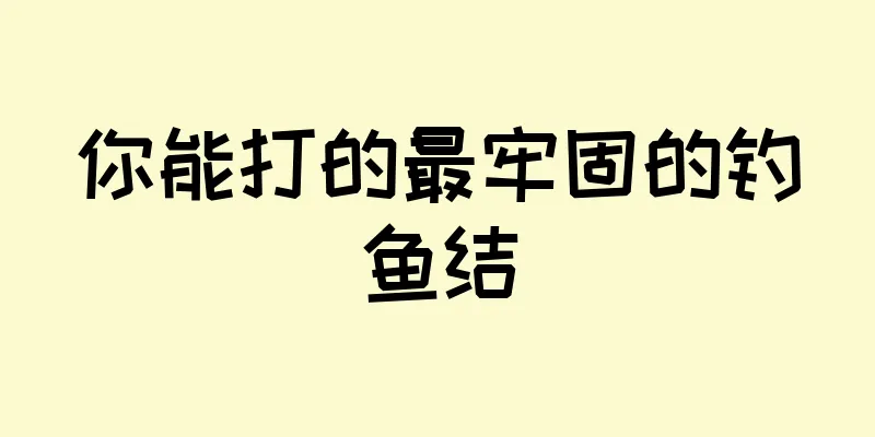 你能打的最牢固的钓鱼结