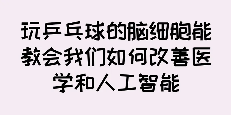 玩乒乓球的脑细胞能教会我们如何改善医学和人工智能