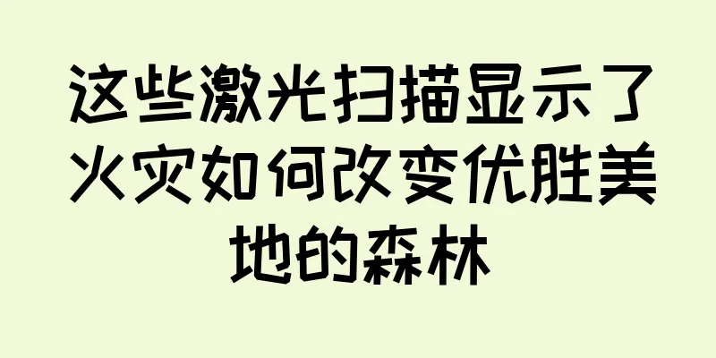 这些激光扫描显示了火灾如何改变优胜美地的森林