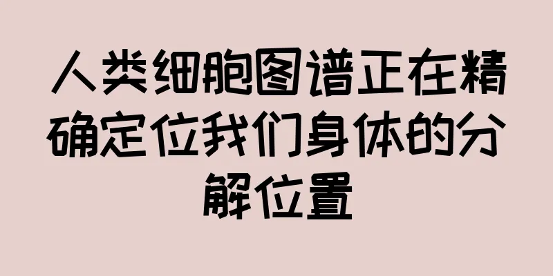 人类细胞图谱正在精确定位我们身体的分解位置