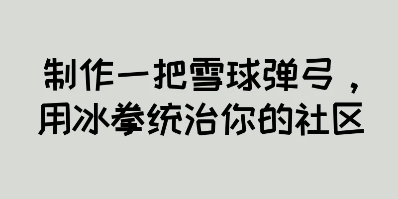 制作一把雪球弹弓，用冰拳统治你的社区