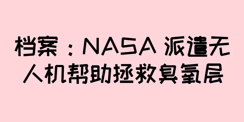 档案：NASA 派遣无人机帮助拯救臭氧层