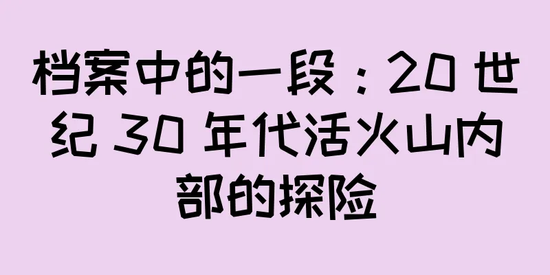 档案中的一段：20 世纪 30 年代活火山内部的探险