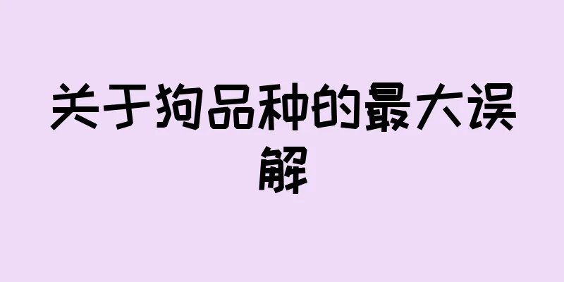 关于狗品种的最大误解