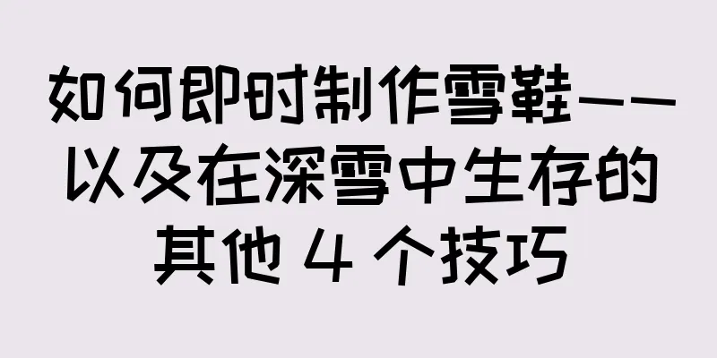 如何即时制作雪鞋——以及在深雪中生存的其他 4 个技巧