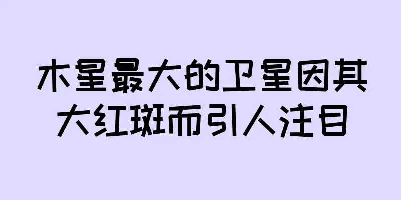 木星最大的卫星因其大红斑而引人注目