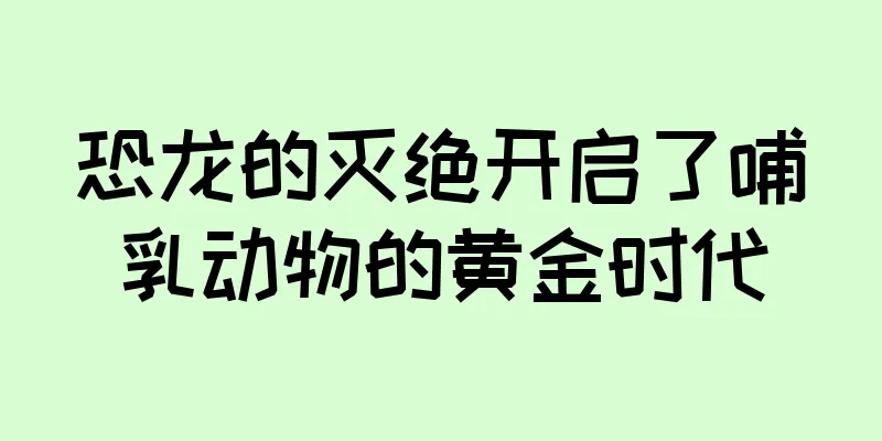 恐龙的灭绝开启了哺乳动物的黄金时代