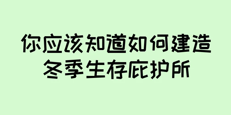 你应该知道如何建造冬季生存庇护所