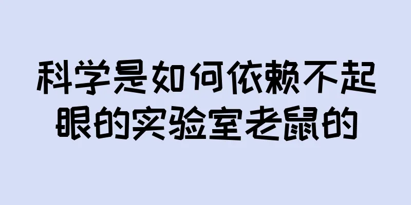 科学是如何依赖不起眼的实验室老鼠的