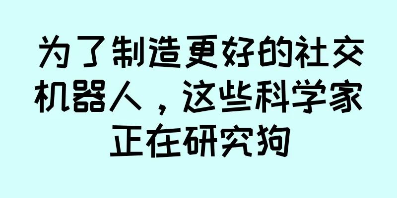 为了制造更好的社交机器人，这些科学家正在研究狗