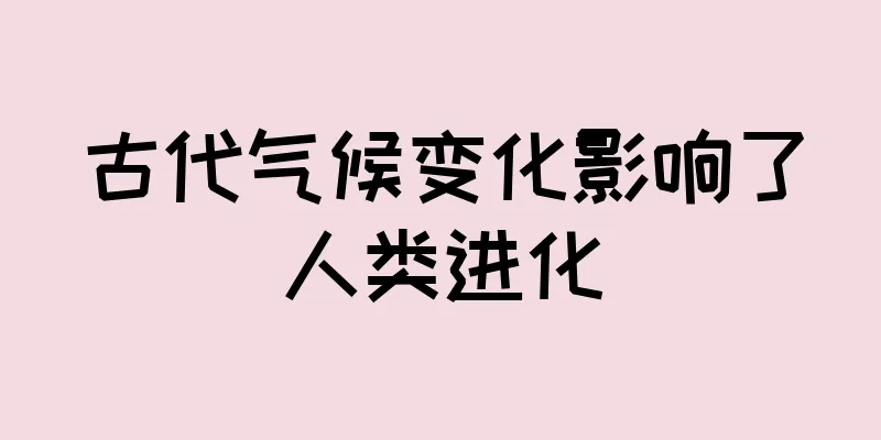 古代气候变化影响了人类进化