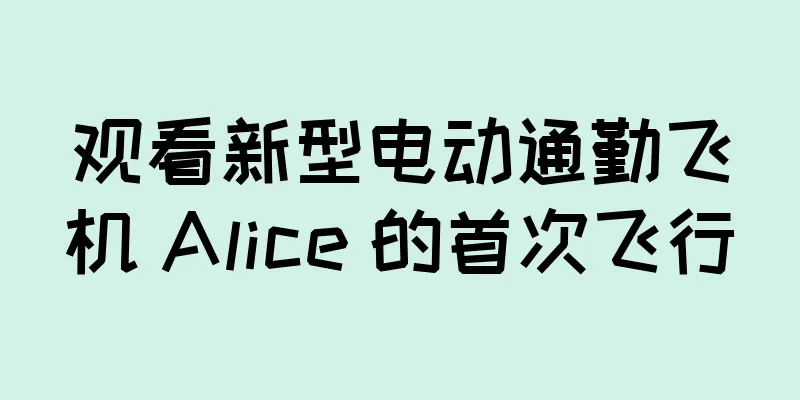 观看新型电动通勤飞机 Alice 的首次飞行