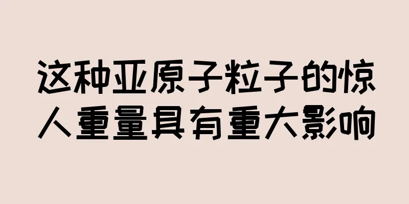 这种亚原子粒子的惊人重量具有重大影响