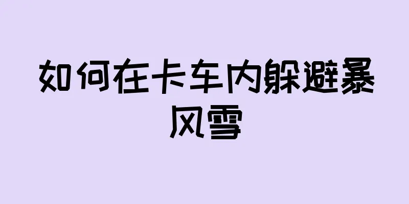 如何在卡车内躲避暴风雪