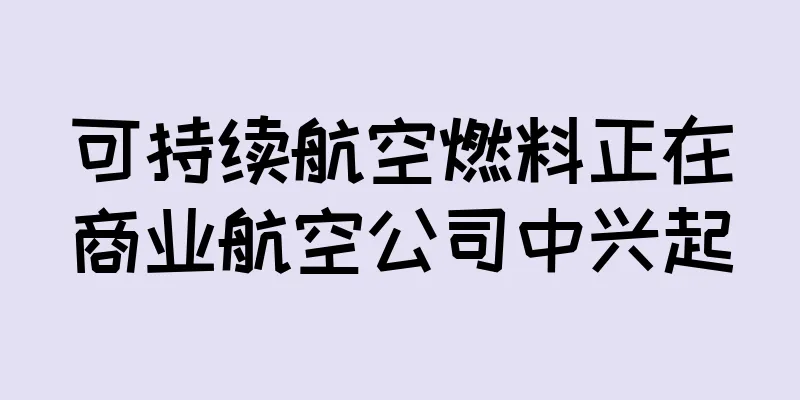 可持续航空燃料正在商业航空公司中兴起