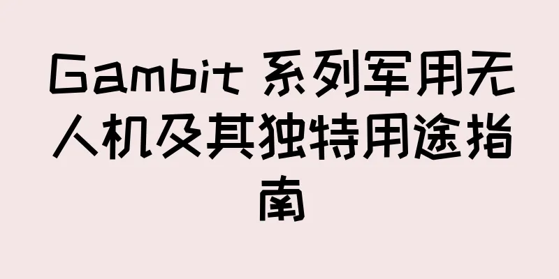 Gambit 系列军用无人机及其独特用途指南