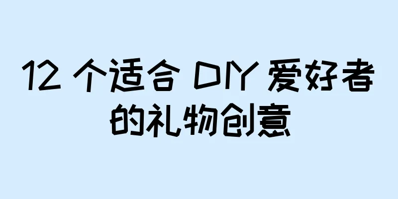 12 个适合 DIY 爱好者的礼物创意