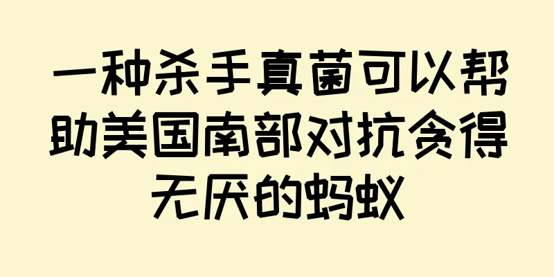 一种杀手真菌可以帮助美国南部对抗贪得无厌的蚂蚁