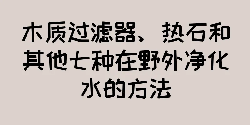 木质过滤器、热石和其他七种在野外净化水的方法