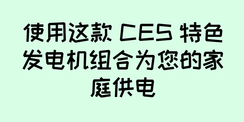 使用这款 CES 特色发电机组合为您的家庭供电