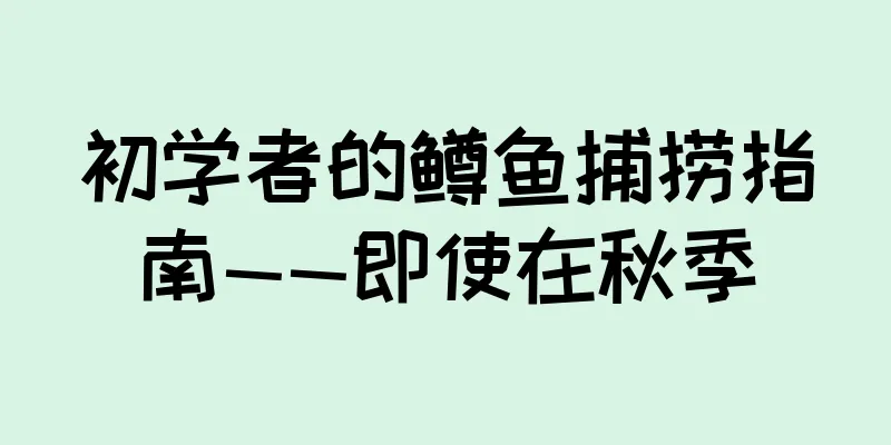 初学者的鳟鱼捕捞指南——即使在秋季