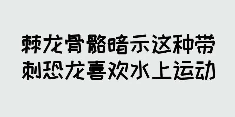 棘龙骨骼暗示这种带刺恐龙喜欢水上运动