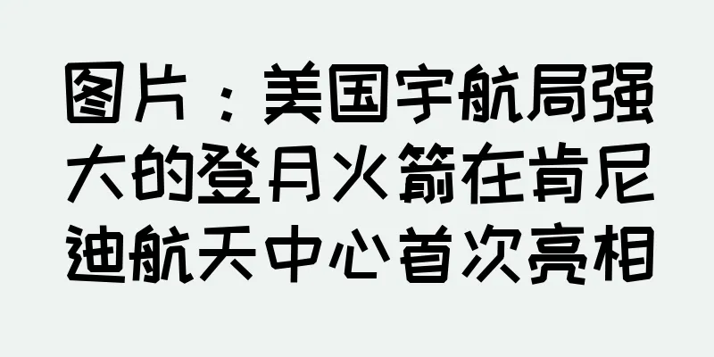 图片：美国宇航局强大的登月火箭在肯尼迪航天中心首次亮相