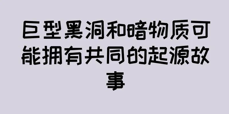 巨型黑洞和暗物质可能拥有共同的起源故事