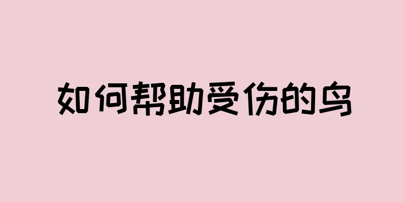 如何帮助受伤的鸟