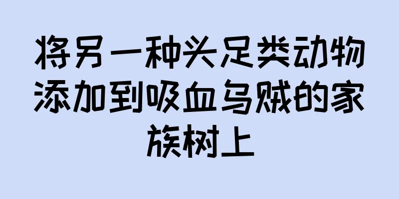 将另一种头足类动物添加到吸血乌贼的家族树上