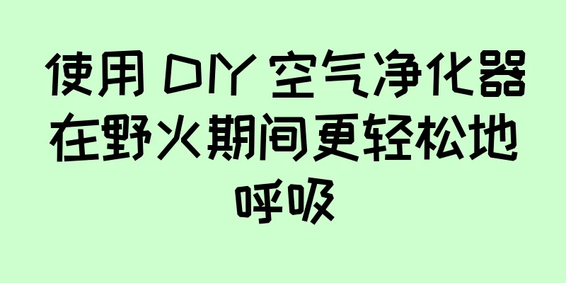 使用 DIY 空气净化器在野火期间更轻松地呼吸