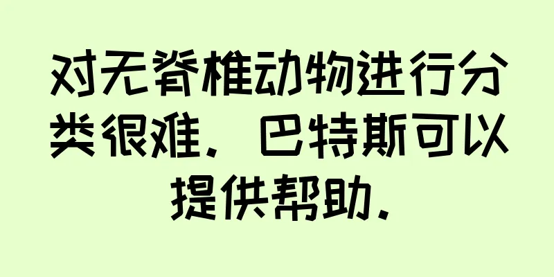 对无脊椎动物进行分类很难。巴特斯可以提供帮助。