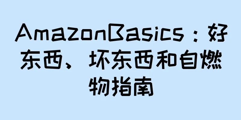 AmazonBasics：好东西、坏东西和自燃物指南