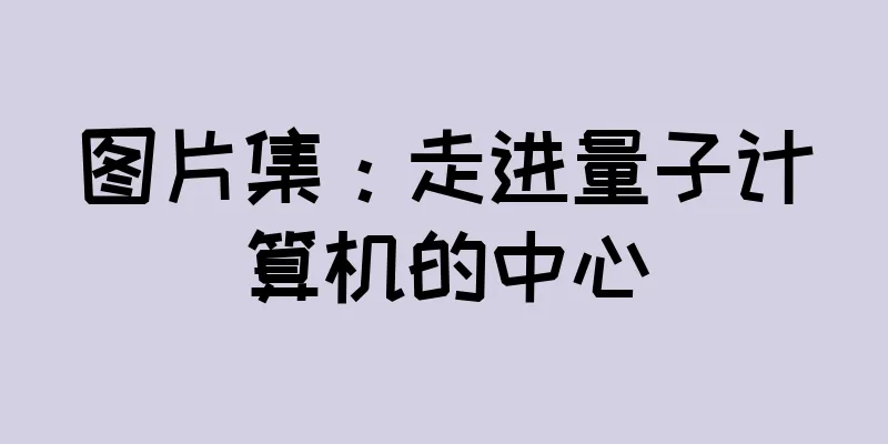 图片集：走进量子计算机的中心