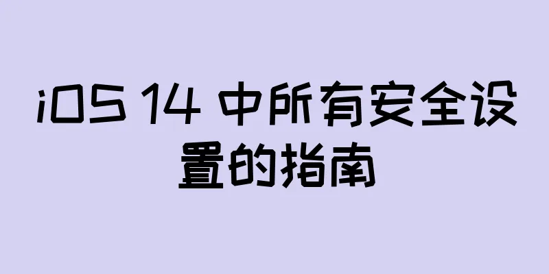 iOS 14 中所有安全设置的指南