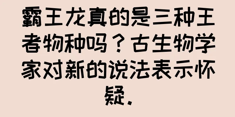 霸王龙真的是三种王者物种吗？古生物学家对新的说法表示怀疑。