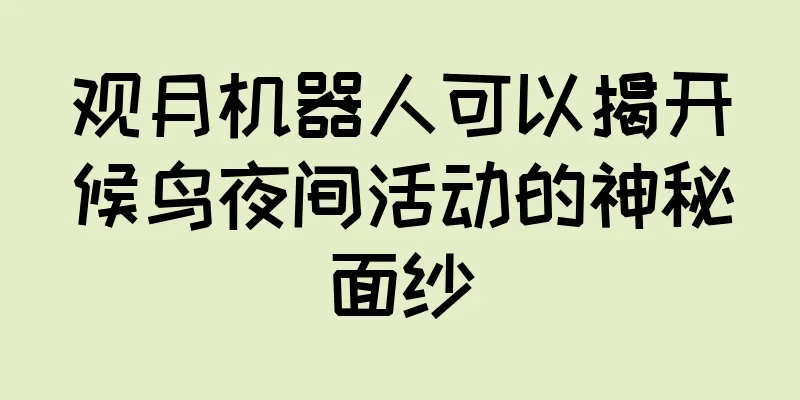 观月机器人可以揭开候鸟夜间活动的神秘面纱