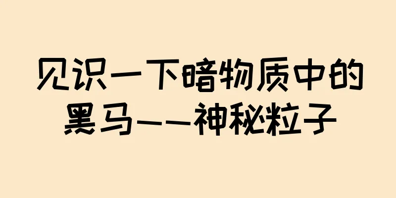 见识一下暗物质中的黑马——神秘粒子
