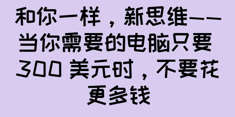和你一样，新思维——当你需要的电脑只要 300 美元时，不要花更多钱