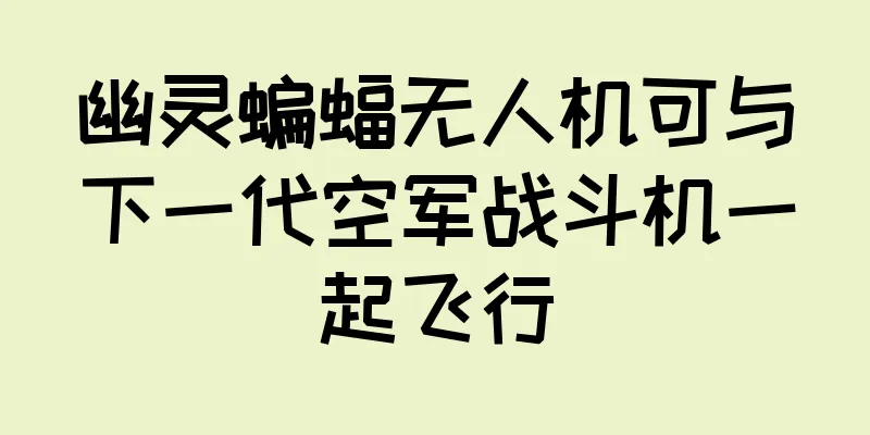 幽灵蝙蝠无人机可与下一代空军战斗机一起飞行