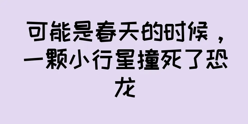 可能是春天的时候，一颗小行星撞死了恐龙